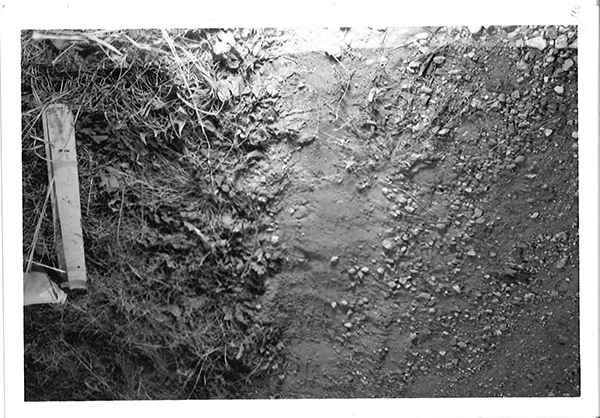 Top-down black-and-white photograph of one side of an unpaved driveway with a tire track impression on dirt.