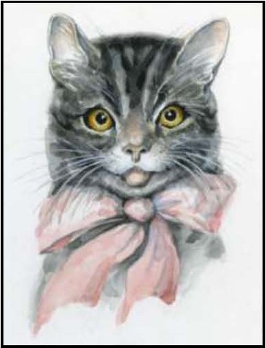 A sitting grey Tabby cat wearing a large pink ribbon tied in a bow around its neck.