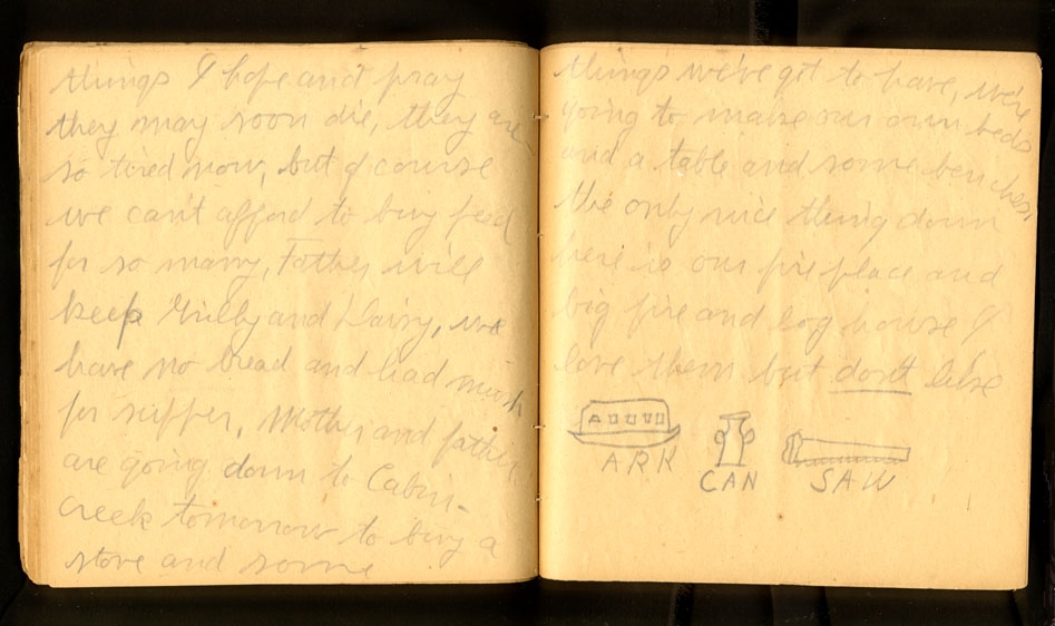 2 pages of a diary belonging to a young girl that read …things I hope and pray they may soon die, they are so tired now, but of course we can not afford to buy food for so many, Father will keep Grilly and Daisy not have no bread and bad mush for supper. Mother and father are going down to cabin creek tomorrow to buy a stove and some things we have got to have, were going to make our own beds and a table and some benches. The only nice thing down here is our fireplace and big fire and log house. I love them but do not like Arkansas, which is depicted as 3 images – an illustration of an ark, a can, and a saw.  