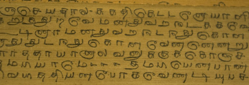  
Closeup of the text of a leaf of the book. The page is in Tamil or Malayalam.  
