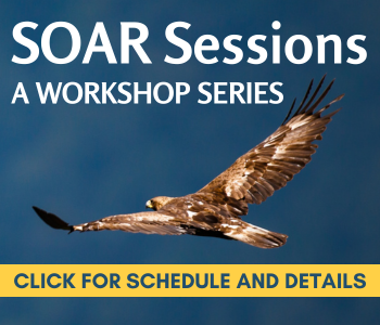 Blue background and a flying golden eagle. Text reads SOAR sessions, a workshop series, click for more information.