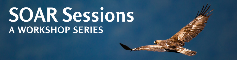 Banner with blue background and a flying golden eagle. Text reads SOAR sessions, a workshop series